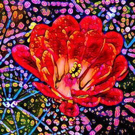 Cactus Flower - Red by Miriam Danar