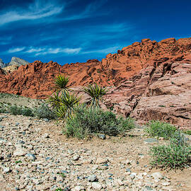 Red Calico Hills by Anthony Sacco