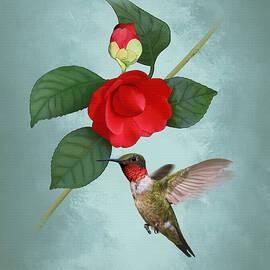 Red Camellia and Hummingbird by Spadecaller