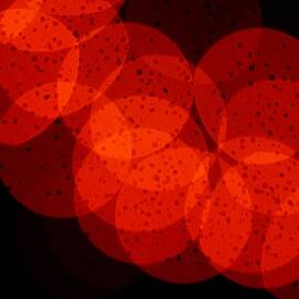 Red Circles On Black Abstract  by Neil R Finlay