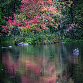 Red Dogwoods Beautiful Reflections by Debra and Dave Vanderlaan