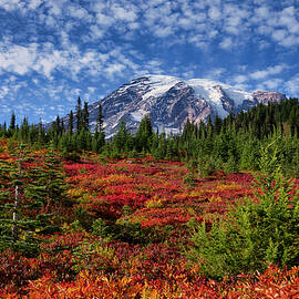 Red fall color at Rainier 2 by Lynn Hopwood