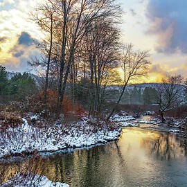 Red House Lake by Michael Griffiths