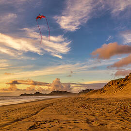 Red Kite On A Golden Beach by Lorraine Baum