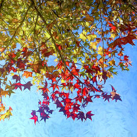 Red Maple Sky Oil Painting by Judy Vincent