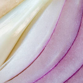Red Onion Macro by Lindley Johnson
