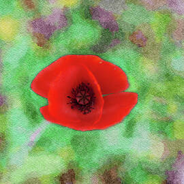 Red poppy flower art by Michalakis Ppalis