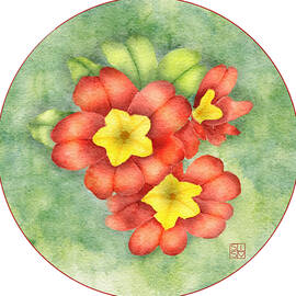 Red Primrose Blossoms