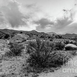 Red Rock Canon Stormy Pathway Grayscale by Jennifer White