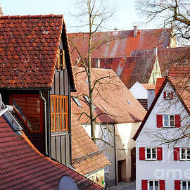 Red Roofs of Noerdlingen by Johanna Zettler