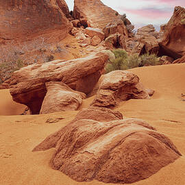 Red Sand and Red Rocks by Alison Frank