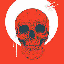 Red Skull by Balazs Solti