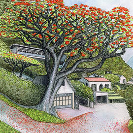 Red Tree in Manoa, Honolulu by Ewa Mosc