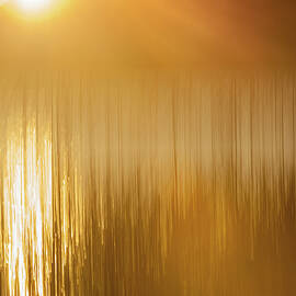 Reedbed by Hugh Warren