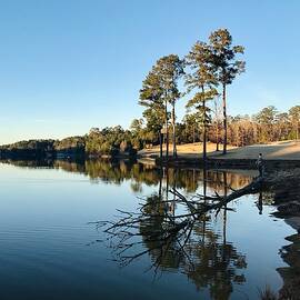 Reflected Beauty by Terry Cobb