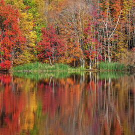 Reflections Of A Connecticut Autumn by Karol Livote