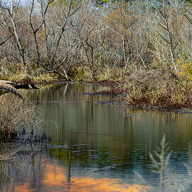 Reflections Of A Sunrise by Gary Shindelbower