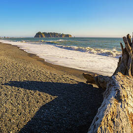 Rialto Beach with driftwood and pebbly sand in Washington State by Miroslav Liska