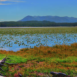 Riddle Lake by Greg Norrell