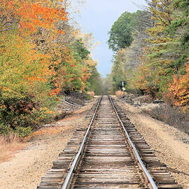 Riding The Rails Of Autumn by Diann Fisher
