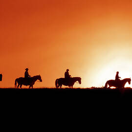 Riding the Range Through a Sunrise by Kay Brewer
