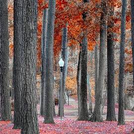 River Walk In Autumn by Rick Davis