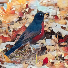 Robin In The Fall by Rick Davis