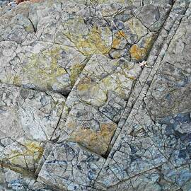 Rocks 8 by Alan Norsworthy