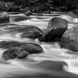 Rocks On The Moss by Russell Alexander
