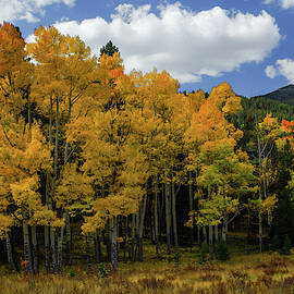 Rocky Mountain National Park - 1776 by Jerry Owens