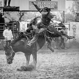 Rodeo Highs And Lows II by Ann Skelton