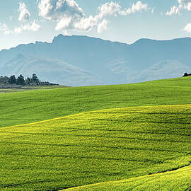 Rolling Fields by Artographie