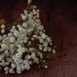 Romantic Baby's Breath by Tina Giammarco Horne