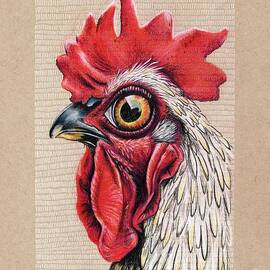 Rooster Randall by Adrienne Smith