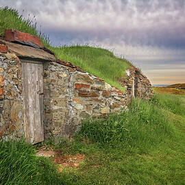 Root Cellars by Tracy Munson