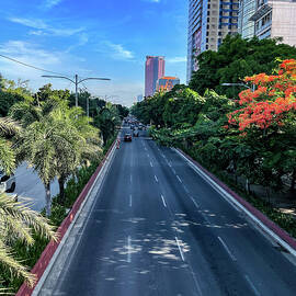  Roxas Boulevard  by Bill Rogers
