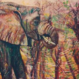 Royal African Elephant by Michael African Visions