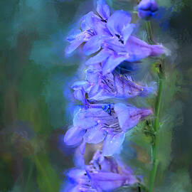 Royal Penstemon by Donna Kennedy