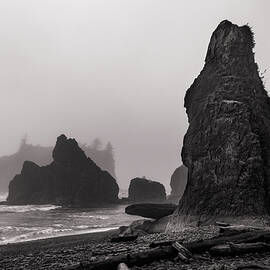 Ruby beach 10-20-201 by Mike Penney