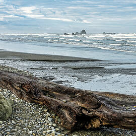 Ruby Beach 4 by Frank Barnitz