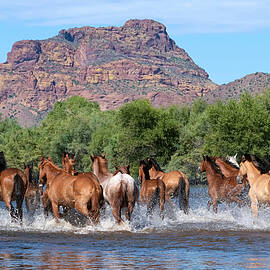 Running to Safety.  by Paul Martin