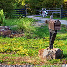 Rural Mailbox And Yellow Flowers by James Eddy