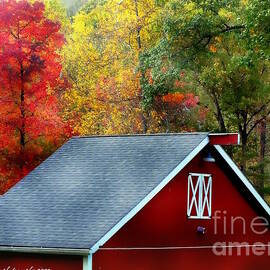 Rural Red October by Tami Quigley