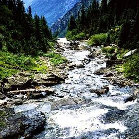 Hidden Lake Waterfall Logans Pass by Gordon James