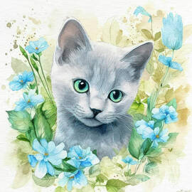 Russian Blue Kitten by Jutta Maria Pusl