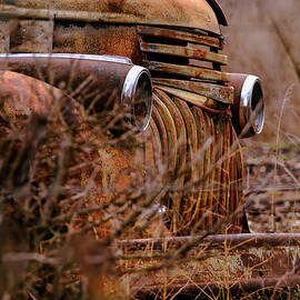 Rust and Shine by Audie Thornburg