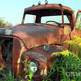 Rusted International Truck, Indiana by Steve Gass