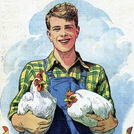 RUSTICA - Selected breeding of Leghorn by Celestial Images