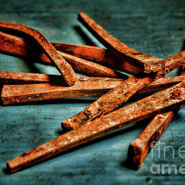 Rusty Antique Nails by Paul Ward
