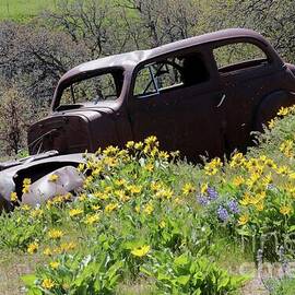 Rusty Car in Wildflower Ravine by Carol Groenen